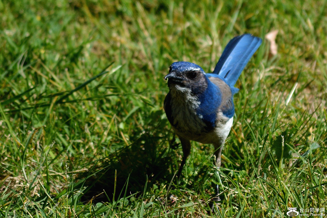 DSC_6760_12.jpg