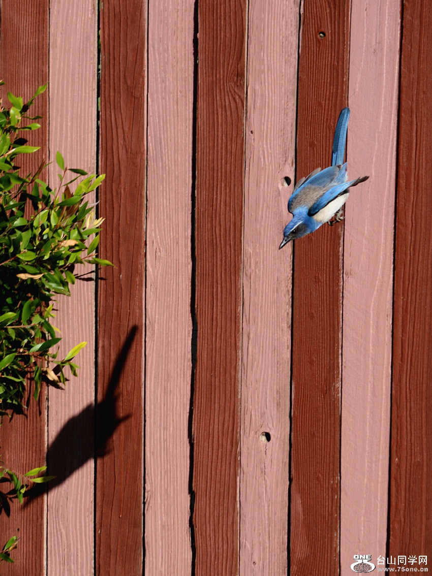 DSC_6520_46.jpg