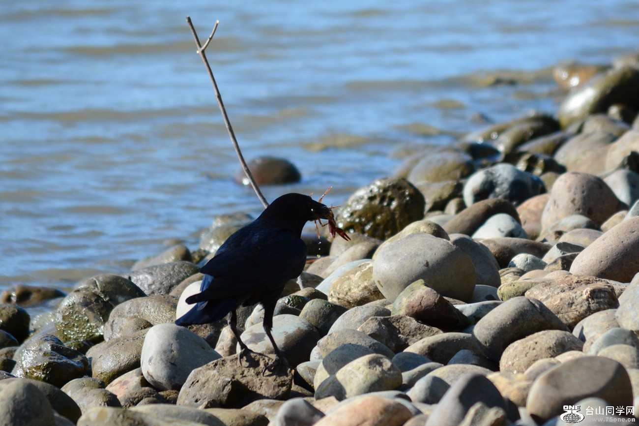 DSC_7874_26.jpg