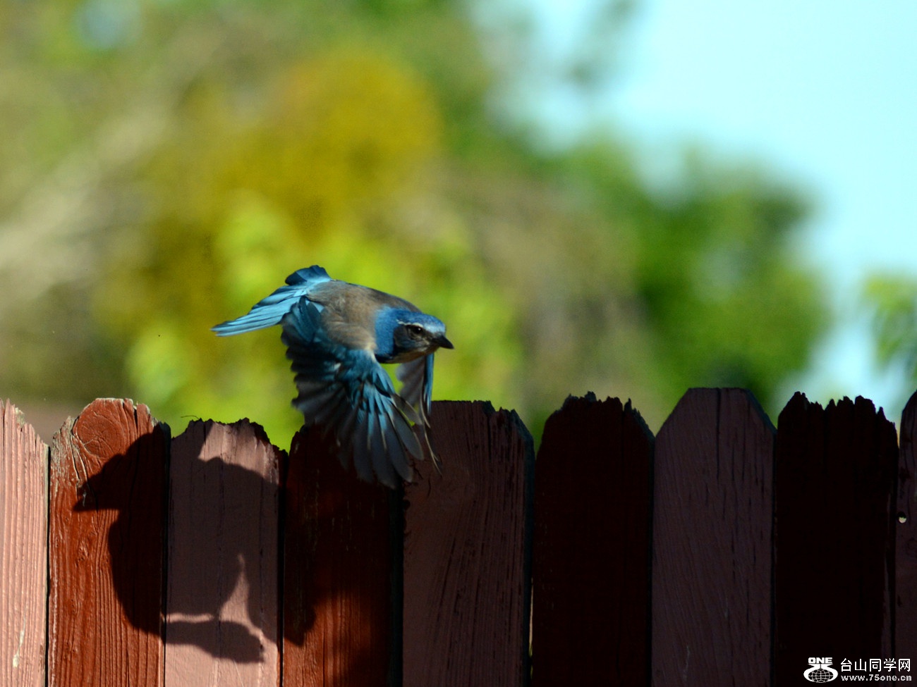 DSC_5850_1.jpg
