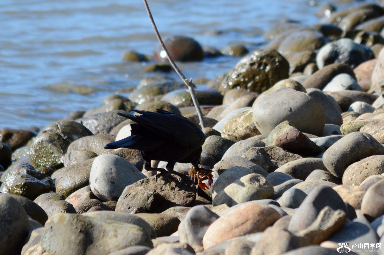 DSC_7870_24.jpg