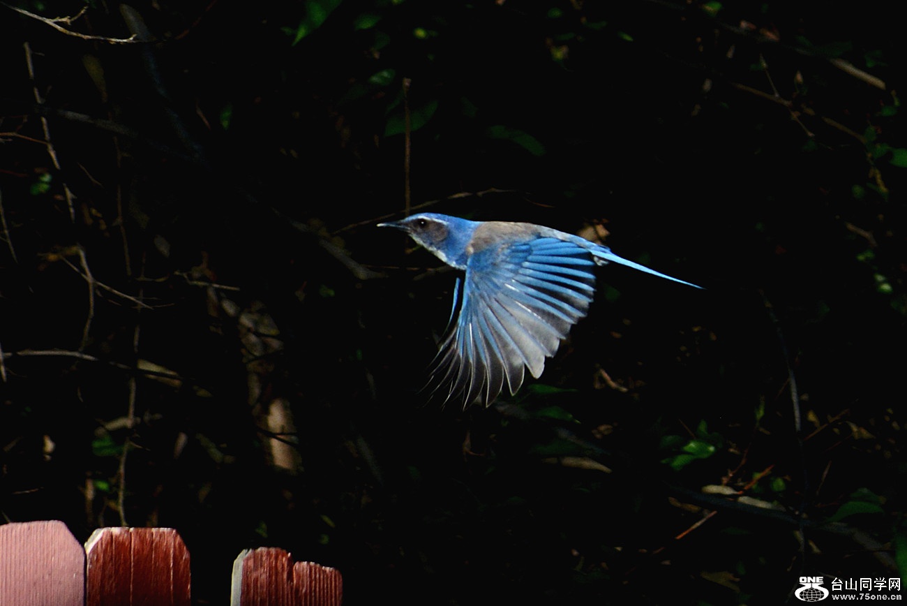DSC_6187_36.jpg