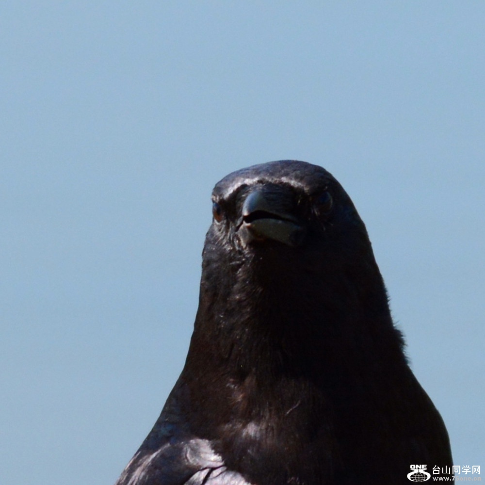 DSC_8778_030.jpg