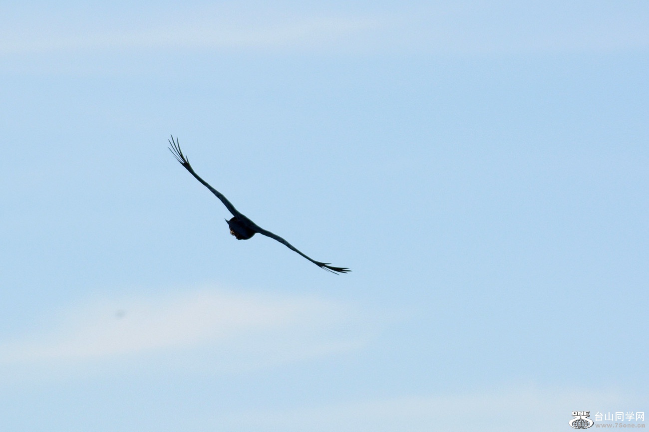 DSC_7794_5.jpg