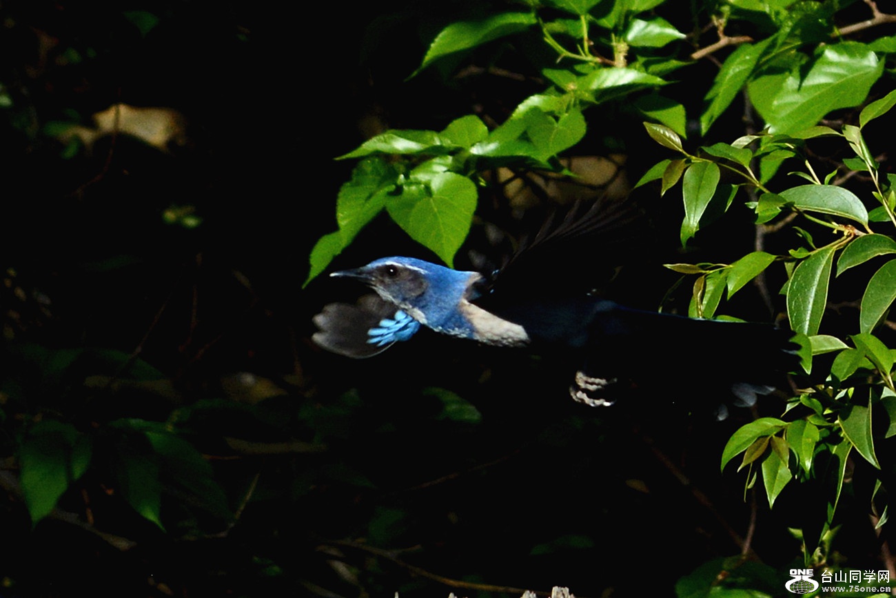 DSC_6186_37.jpg