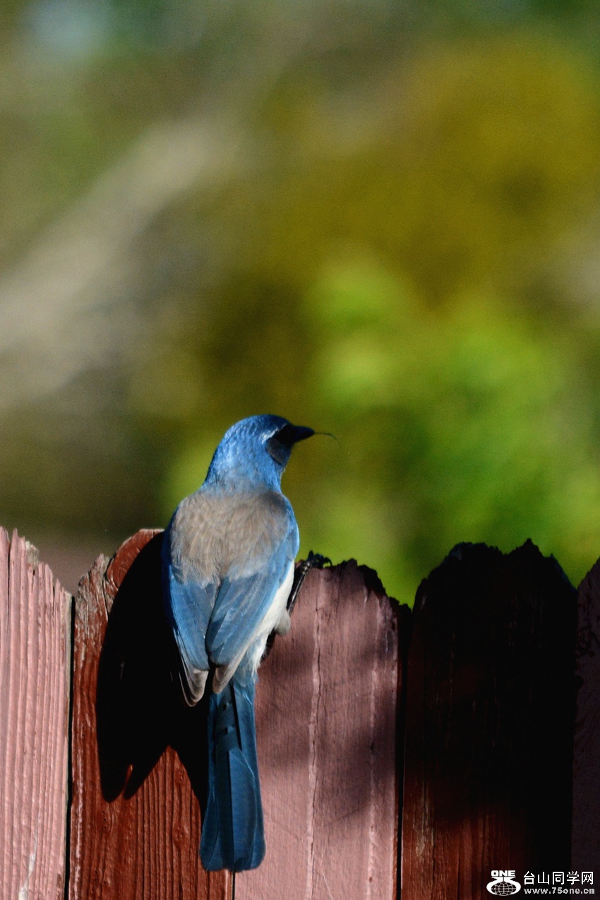DSC_5846_3.jpg