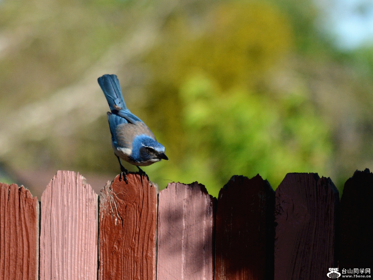 DSC_5849_2.jpg