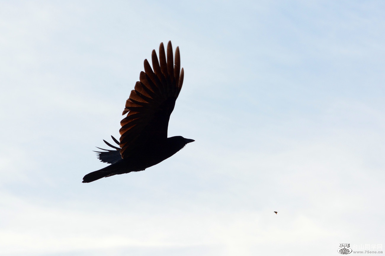 DSC_7743_3.jpg