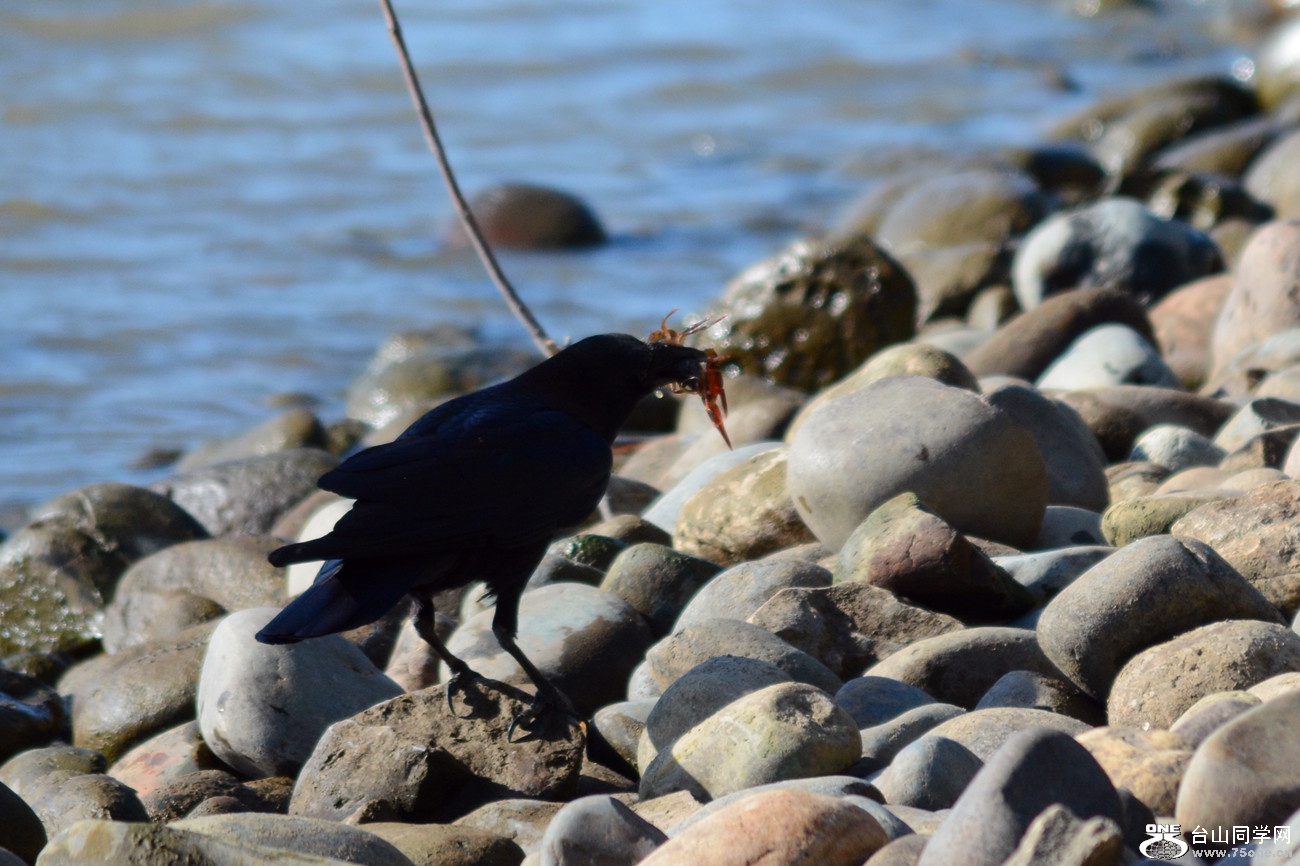 DSC_7872_25.jpg