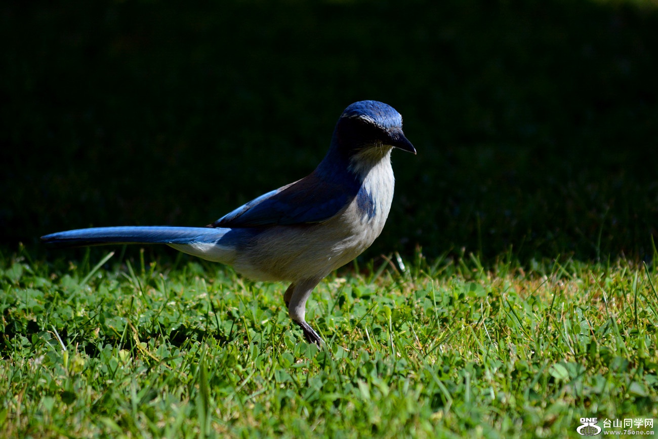 DSC_4274_14.jpg