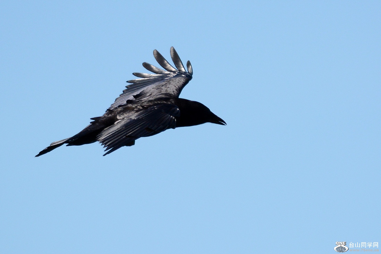 DSC_8250_34.jpg