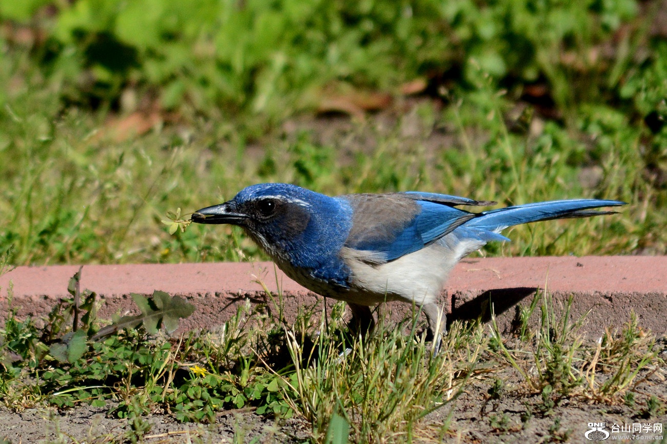 DSC_5506_8.jpg