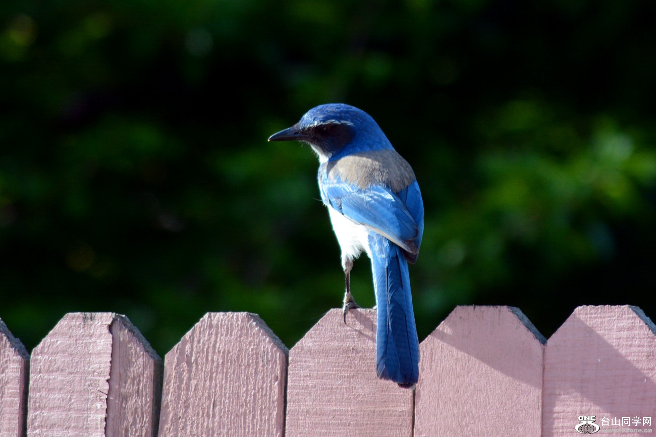 DSC_6673_16.jpg