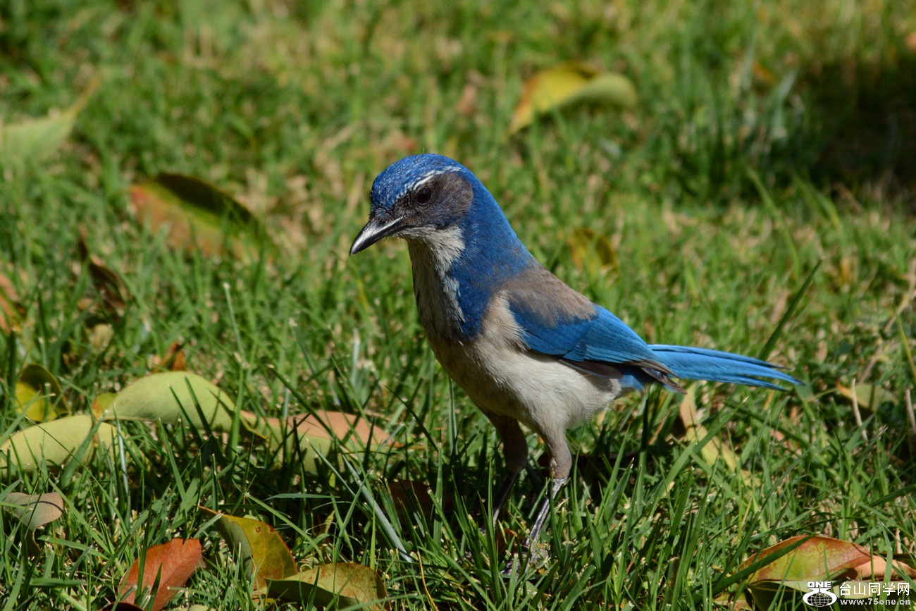 DSC_6772_11.jpg