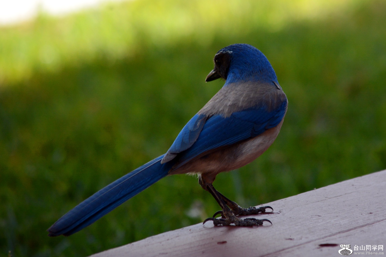 DSC_6714_15.jpg
