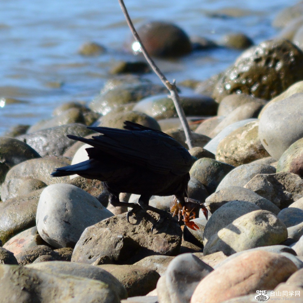 DSC_7869_23.jpg