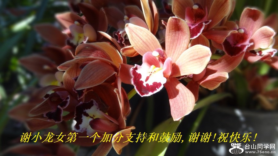谢小龙女第一个加分支持和鼓励,谢谢!祝快乐!.jpg