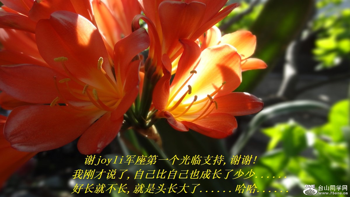лjoyliһ֧,лл!Ҹղ˵,ԼԼҲɳ......óͲ,ͷ......