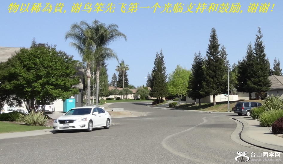 物以稀為貴,谢鸟笨先飞第一个光临支持和鼓励,谢谢!.jpg