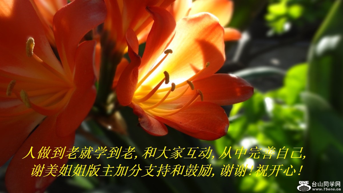 人做到老就学到老,和大家互动,从中完善自己,谢美姐姐版主加分支持和鼓励,谢谢!祝开心!.jpg