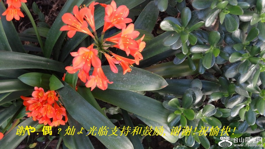 谢や.偶﹖灿よ光临支持和鼓励,谢谢!祝愉快!.jpg