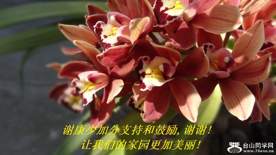 谢康少加分支持和鼓励,谢谢!让我们的家园更加美丽!.jpg