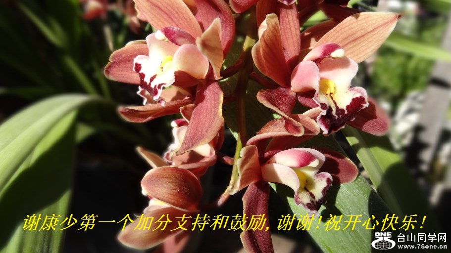 谢康少第一个加分支持和鼓励,谢谢!祝开心快乐!.jpg