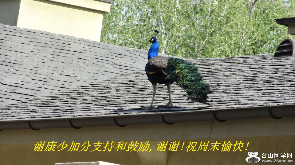 谢康少加分支持和鼓励,谢谢!祝周末愉快!.jpg