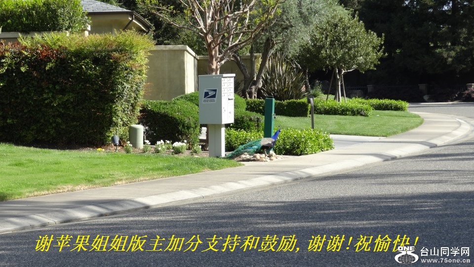 谢苹果姐姐版主加分支持和鼓励,谢谢!祝愉快!.jpg