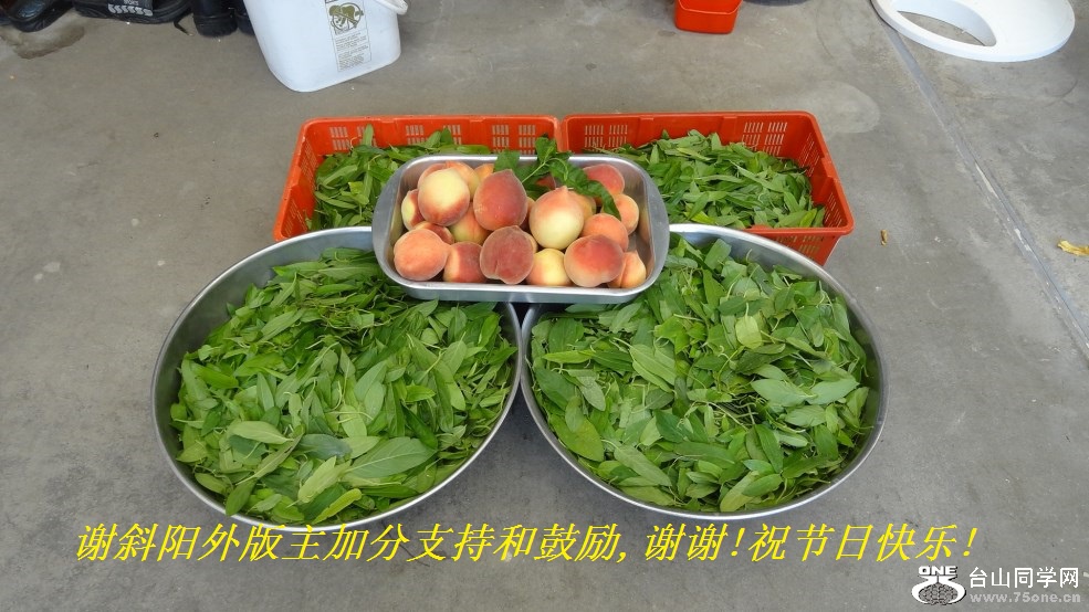 谢斜阳外版主加分支持和鼓励,谢谢!祝节日快乐!.jpg