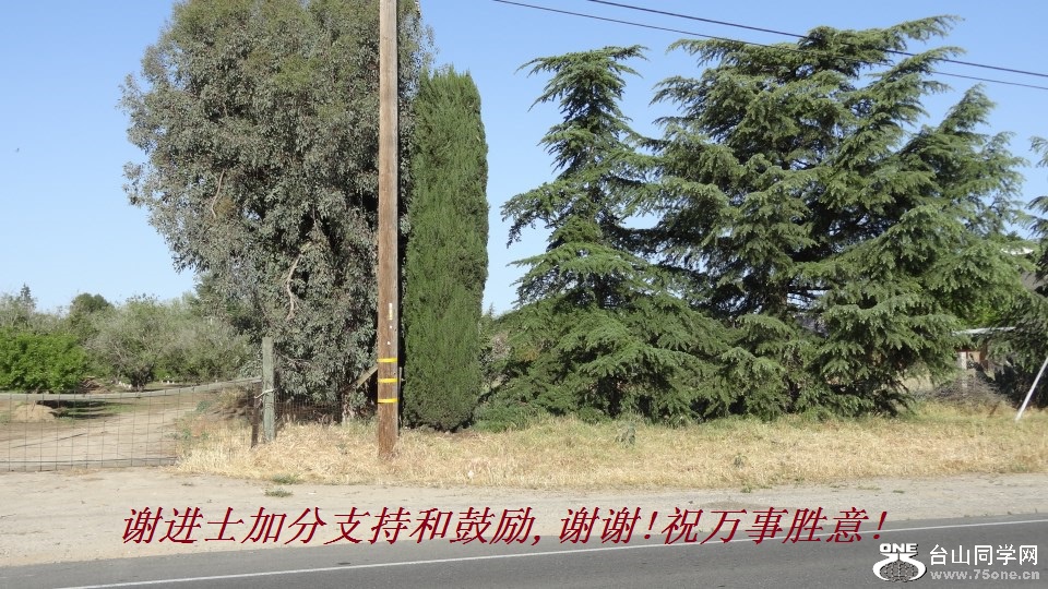 谢进士加分支持和鼓励,谢谢!祝万事胜意!.jpg