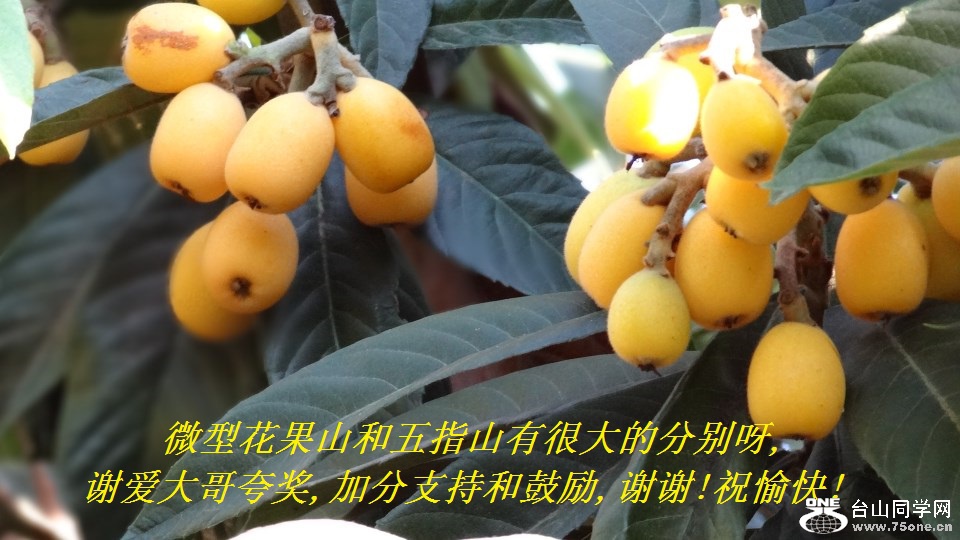 ΢ͻɽָɽкܴķֱѽ,л佱,ӷֺ֧͹,лл!ף!.jpg