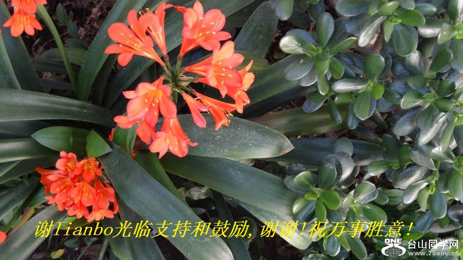 лlianboֺ֧͹,лл!ףʤ!.jpg