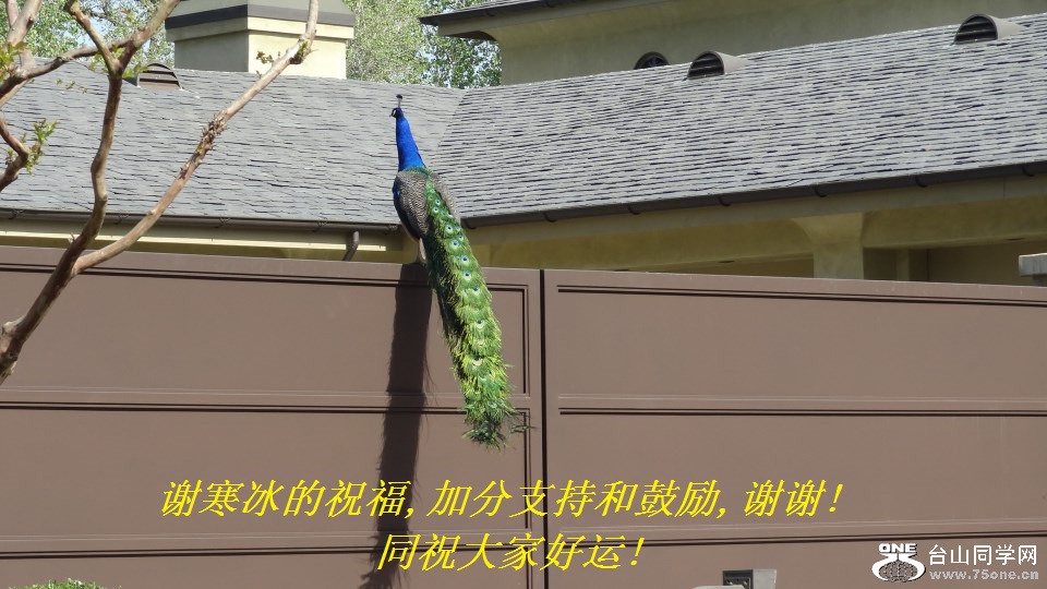 лף,ӷֺ֧͹,лл!ͬףҺ!.jpg