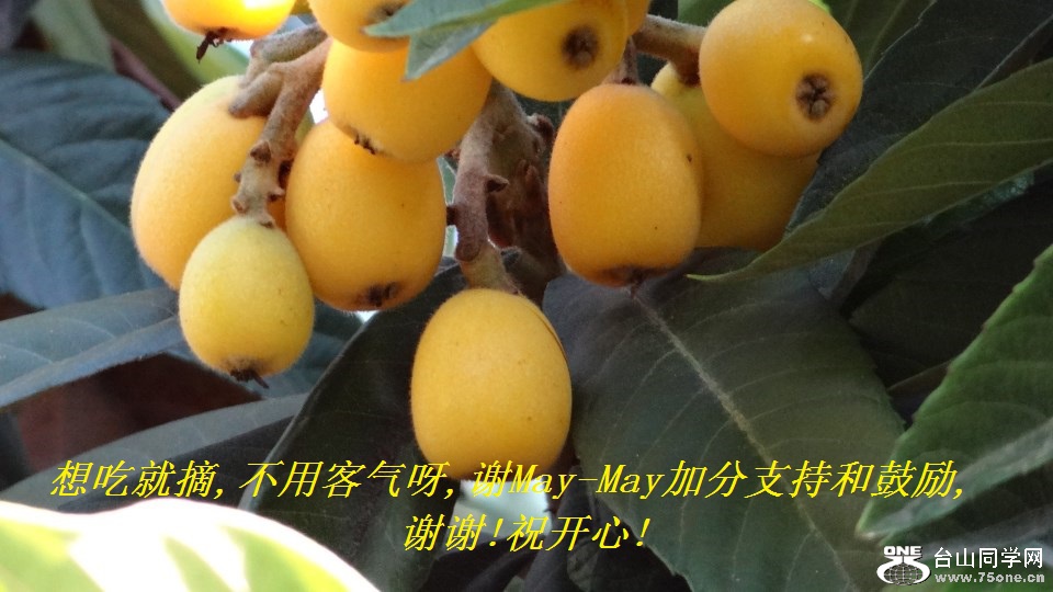 Ծժ,ÿѽ,лMay-Mayӷֺ֧͹,лл!ף!.jpg