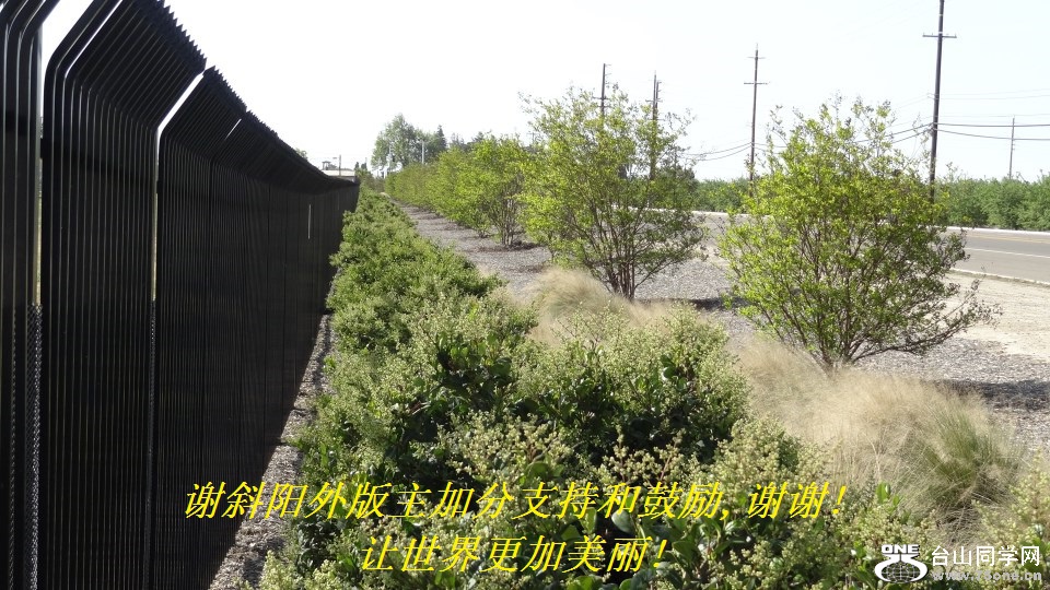 谢斜阳外版主加分支持和鼓励,谢谢!让世界更加美丽!.jpg