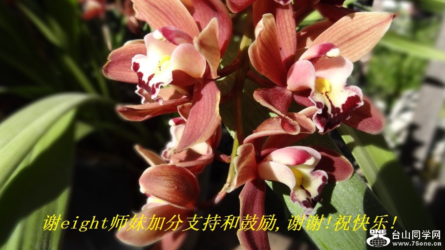 谢eight师妹加分支持和鼓励,谢谢!祝快乐!.jpg