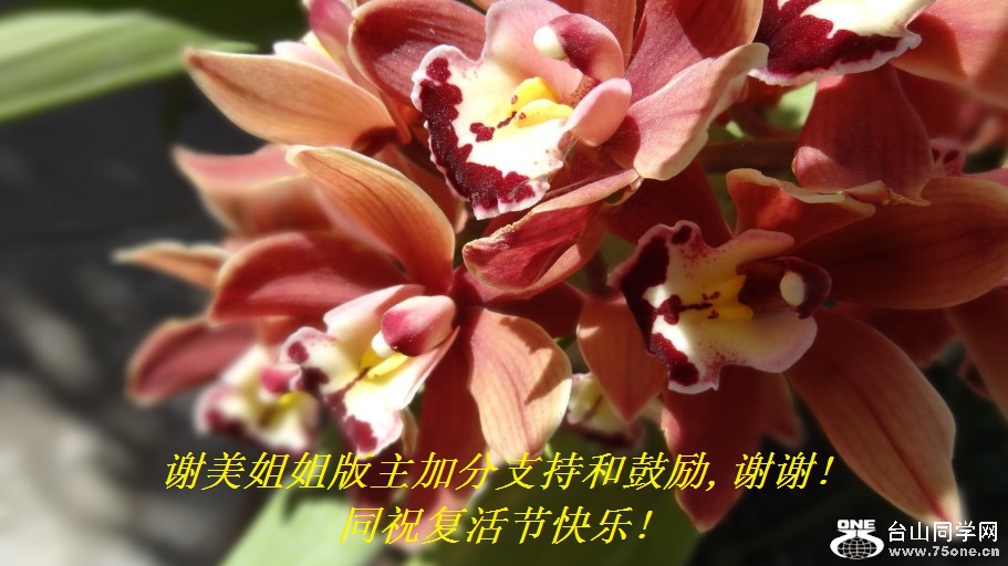 谢美姐姐版主加分支持和鼓励,谢谢!同祝复活节快乐!.jpg
