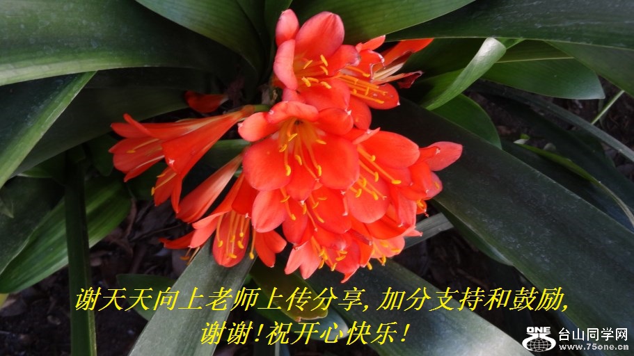 谢天天向上老师上传分享,加分支持和鼓励,谢谢!祝开心快乐!.jpg