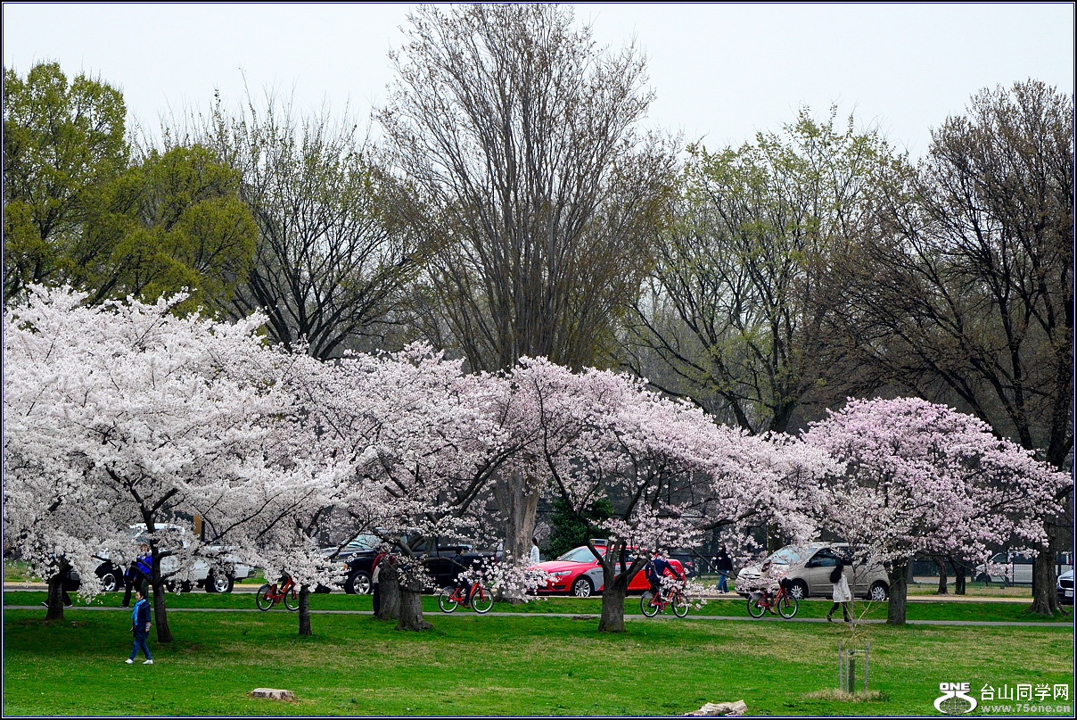 DSC_6309_.jpg