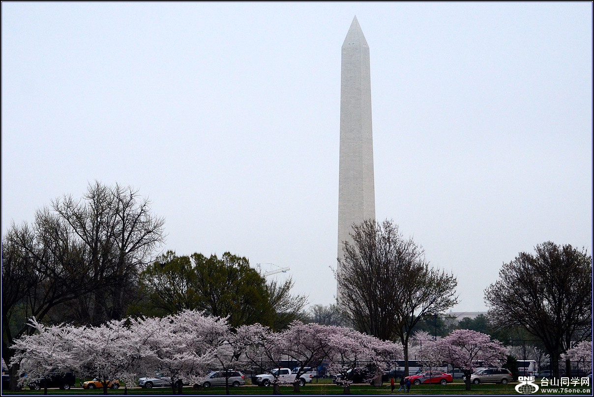 DSC_6226_.jpg