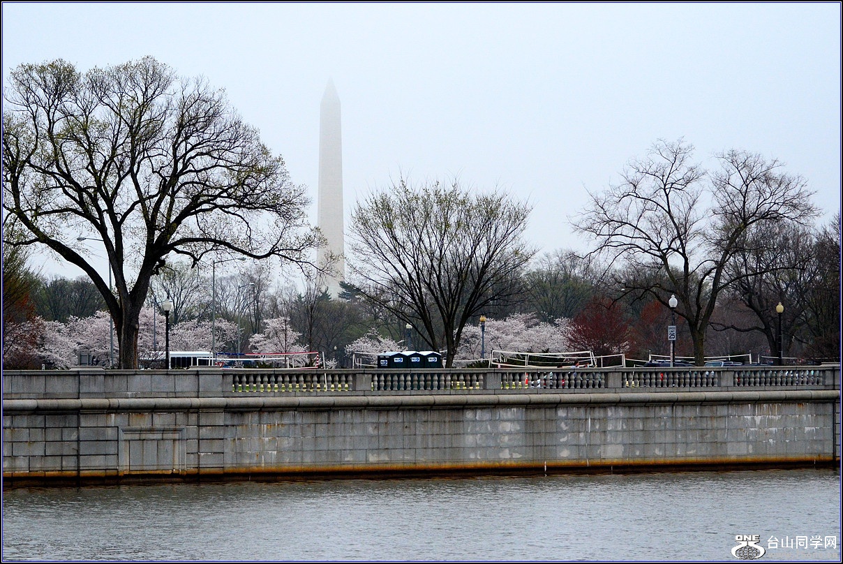 DSC_6429_.jpg