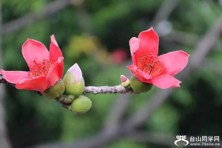 image2_1.JPG