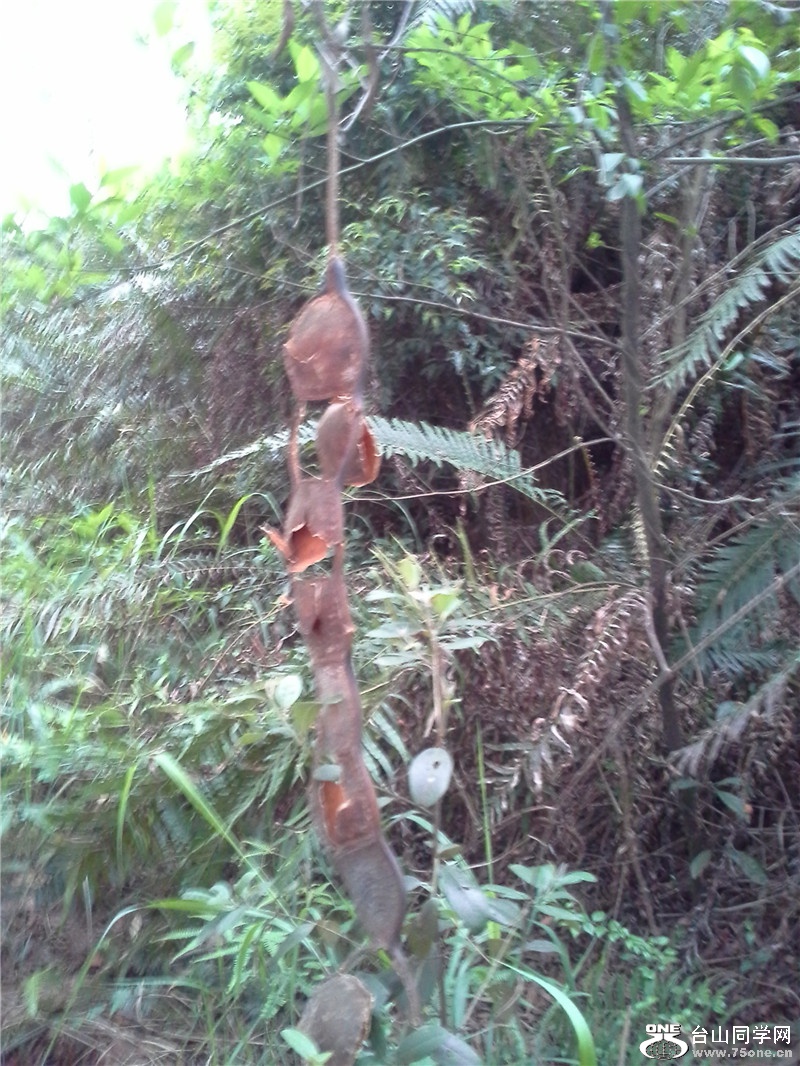 20150321_163344.jpg