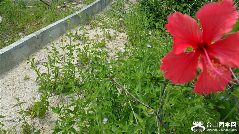20150419_120803.jpg