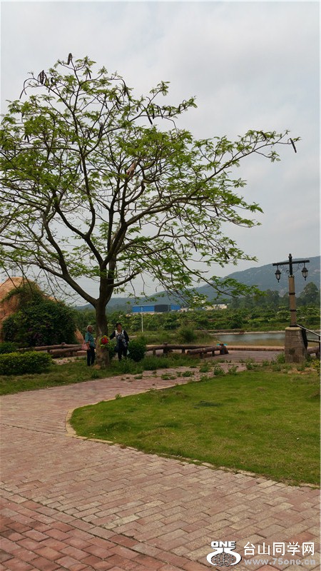 20150419_122808.jpg