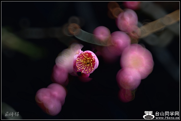 DSC_46881.jpg