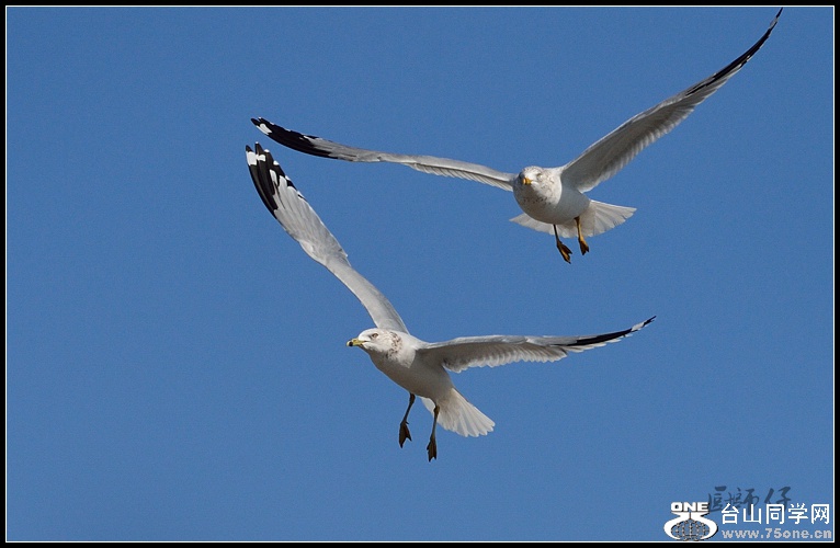 DSC_5107.jpg