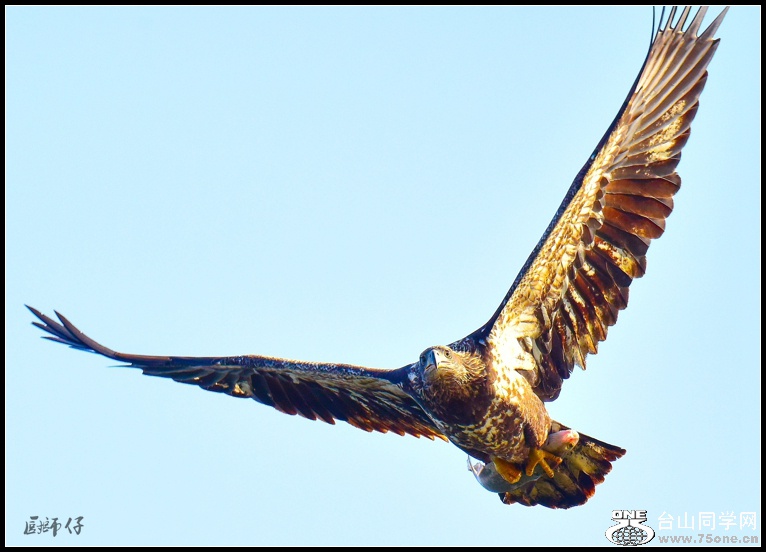 DSC_0566c.jpg