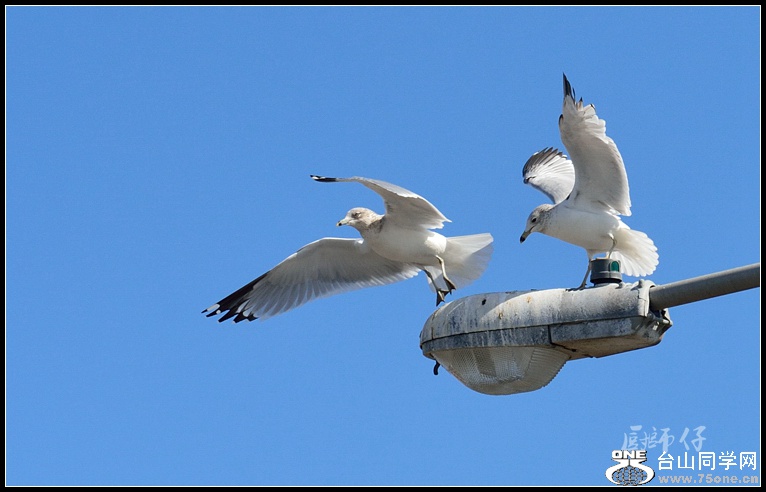 DSC_5048.jpg